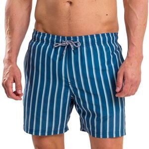 RIPT Essentials Mens Stripe Swim Shorts / Navy
